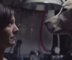 Car Commercial About the Love of a Dog Will Bring You to Tears (VIDEO)