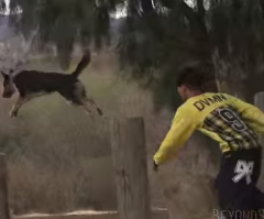 Stunt Dog Performs Amazing Routine - Super Slow Motion Will Leave You Stunned