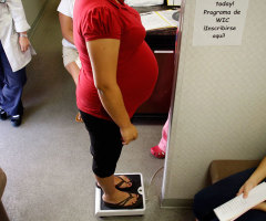 Mississippi Gov. Phil Bryant Signs Bill Banning Abortion at 20 Weeks