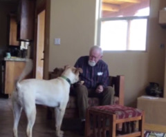 Father With Advanced Alzheimer's Sees the Family Dog and Something Utterly Beautiful Happens (VIDEO)