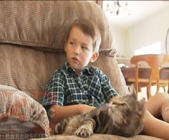 Hero Cat Saves Boy From Dog Attack; Escapes With Only a Few Stitches (VIDEO)