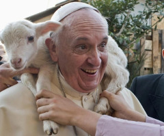 Pope Francis Warns: If We Destroy Creation, It Will Destroy Us