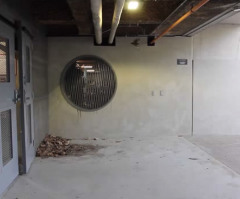 Clever Birds Activate Automatic Doors to Get In and Out of Parking Garage (VIDEO)