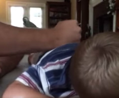 'A Drum Beatin'': Drummer Dad Plays Toddler's Back Like a Drum Kit (VIDEO)
