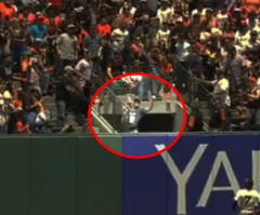 Father Catches Home Run Ball Bare-Handed While Holding Baby, Walks Off Like It's Nothing (VIDEO)