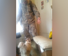 What This Cat Does When His Soldier Returns Home Will Warm Your Heart (VIDEO)