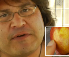 Man Sees Jesus in an Apple and So Does a Priest - Do You? (VIDEO)