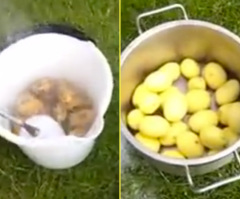 Here's the Fastest Way to Peel a Bag of Potatoes (VIDEO)