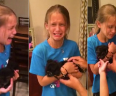 This is Exactly What You Want to Happen When You Give Your Kid a Puppy