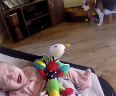 After Taking a Baby Girl's Toy, This Dog Apologizes in the Sweetest Way