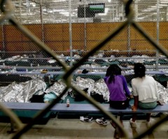US Conference of Catholic Bishops Sends 1,200 Bibles to Illegal Immigrant Children