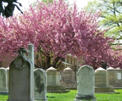 Design Revealed for LGBT Memorial at Congressional Cemetery