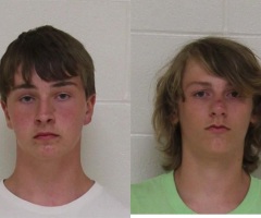 Too Much? Mom Shocked After Teenage Boys Charged With Felonies for Stripping Bark From Mature Tree