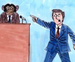 Now That's a Real 'Monkey Trial'!