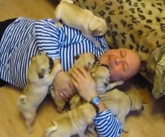 One Man Finds The Cure for Sadness in These Wiggly Pug Puppies (VIDEO)