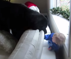 This Little Girl Has The Best Hide and Seek Buddy Ever – What an Adorable Pair!
