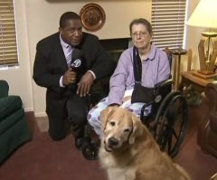2 Dogs Are Being Called Guardian Angels After Saving a 76-Year-Old Woman That Fell And Couldn't Get Up