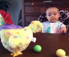 The Adorable Little Girl Has the Cutest and Surprised Reaction to Her New Toy! (VIDEO)