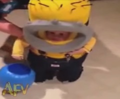 You Will Fall In Love With This Toddler in a 'Minion' Costume – Especially When He Falls Over!