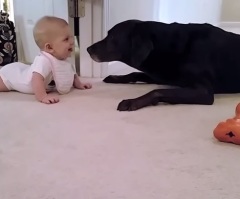 Just Another Precious Video Confirming That A Dog is A Man's Best Friend – This is Adorable!