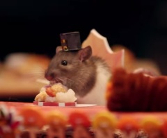 Thanksgiving Feast With Tiny Hamsters That Will Make You Smile