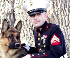 A Veteran's Dog Helps Him Cope With PTSD – This Dog is a Gift From God