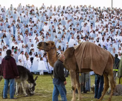 Over 1,000 People Take Part in Guinness World Record Breaking Living Nativity Scene