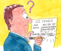 U.S. Census: Who Cares About Marriage?
