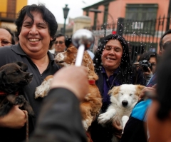 Pope Francis Says There's a Place for Pets in Heaven, While Conservative Catholics Preach Animals Have No Souls