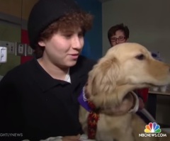 16-Year-Old With Cancer Gets Millions of Dog Pictures to Make Him Feel Better
