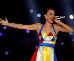 Katy Perry Grammy Performance Puts Spotlight on Domestic Violence With Help of President Obama