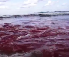 Heartbreaking: Egyptian Christians Were Calling for Jesus During Execution by ISIS in Libya