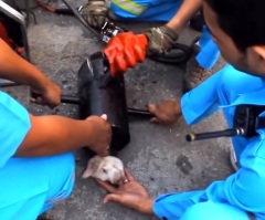 Watch This Heartwarming Rescue of This Puppy From an Exhaust Pipe – This is Amazing!
