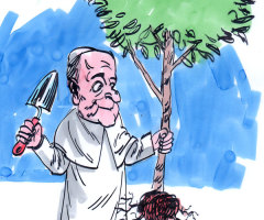 Pope Francis Makes a Biblical Case for the Environment