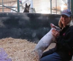 Sweet Dog Gets Jealous of a Piglet Who's Been Getting All the Attention and Cuddles