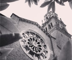 Conservative Presbyterian Sect Formed in 2012 Celebrates 200th Member Congregation After Break From PC(USA)