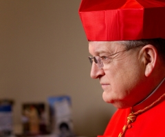 Cardinal Burke Defends Christian Marriage as 'Foundation of Human Culture;' Calls Out Secular Forces Pushing 'Unnatural Sexual Activity'