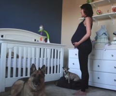 Watch This Woman's Journey From Early Pregnancy to the Arrival of Her Baby in This Amazing Timelapse