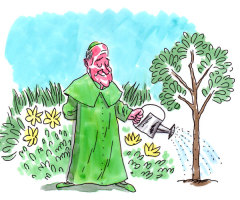 Is Francis the 'Green Pope?'