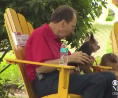 A Neighborhood Comes Together to Help an Elderly Man and His Best Friends