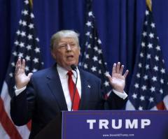 Donald Trump 'Fired' From Macy's, NBC, Univision Amid Controversial Remarks Saying Immigrants Are 'Killers and Rapists'