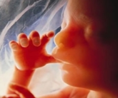 Pro-Lifers 'Anthropomorphize' Fetuses, Former Fetus Complains