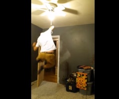 New Grandfather-to-Be Jumps for Joy, But Not Until He Thinks No One is Looking – HAHA!
