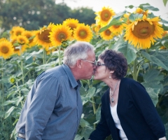 Husband Plants 4 Miles of Sunflowers to Honor Wife Who Died From Cancer