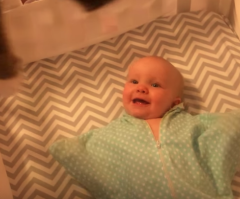 This Adorable Baby Girl Can't Keep It Together When Her Cat Is Around