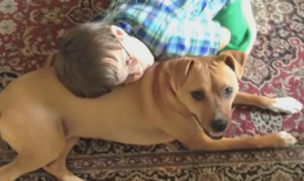 Rescue Dog's Transformation Leads to a Miracle for an Autistic Boy