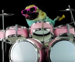 Cool Pug Plays a Popular Metallica Song 'Enter Sandman' — It Is Awesome!