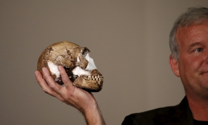 Hominid Hype and Homo Naledi: Did Scientists Really Discover a Human Ancestor?