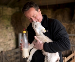 What Does the Bible Say About Our Pets?