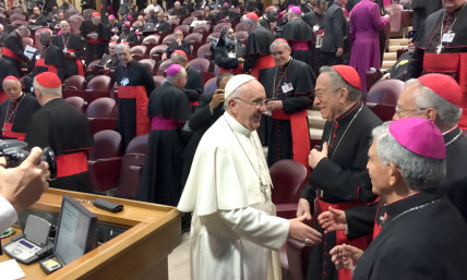 Inside the Vatican Synod on Family: Homosexuality, Remarriage and Church Child Abuse (Day 17)